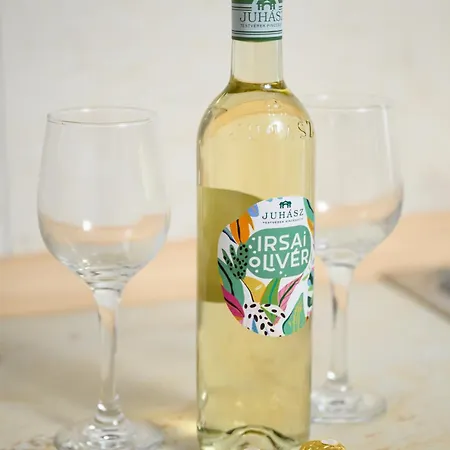 Accommodatie bij particulieren Fazola Eger