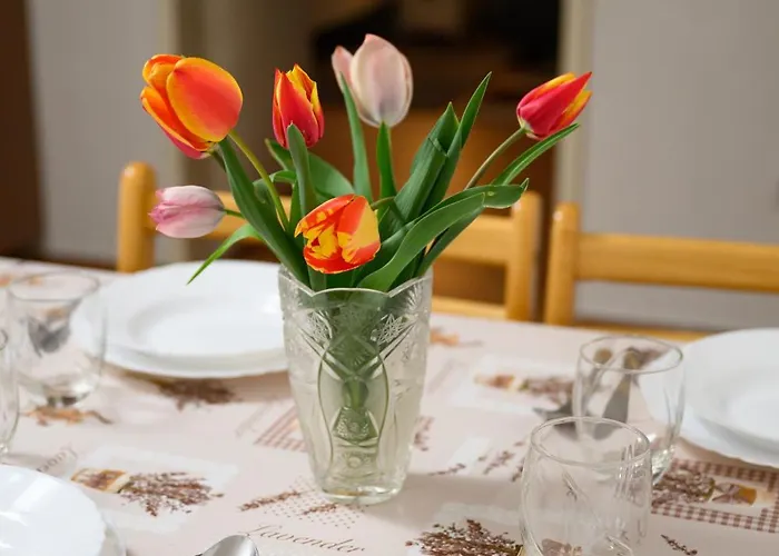 Проживання в сім'ї Fazola *